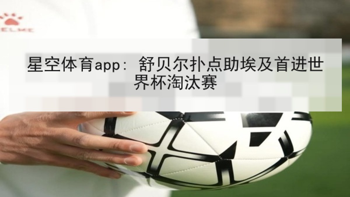 星空体育app: 舒贝尔扑点助埃及首进世界杯淘汰赛