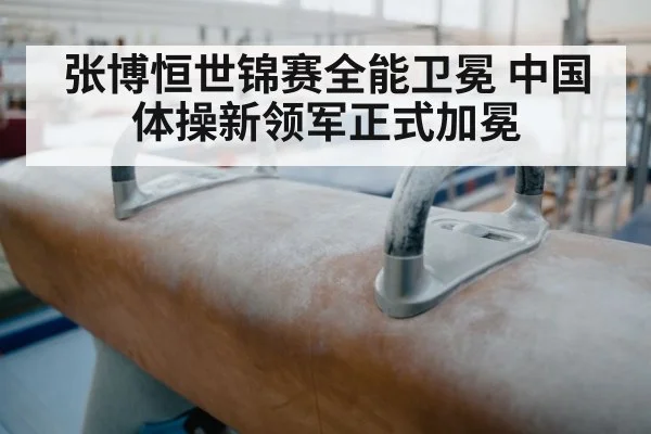 张博恒世锦赛全能卫冕 中国体操新领军正式加冕