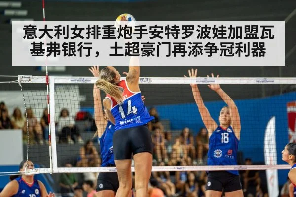 women's volleyball match