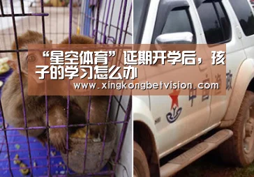 “星空体育”延期开学后，孩子的学习怎么办